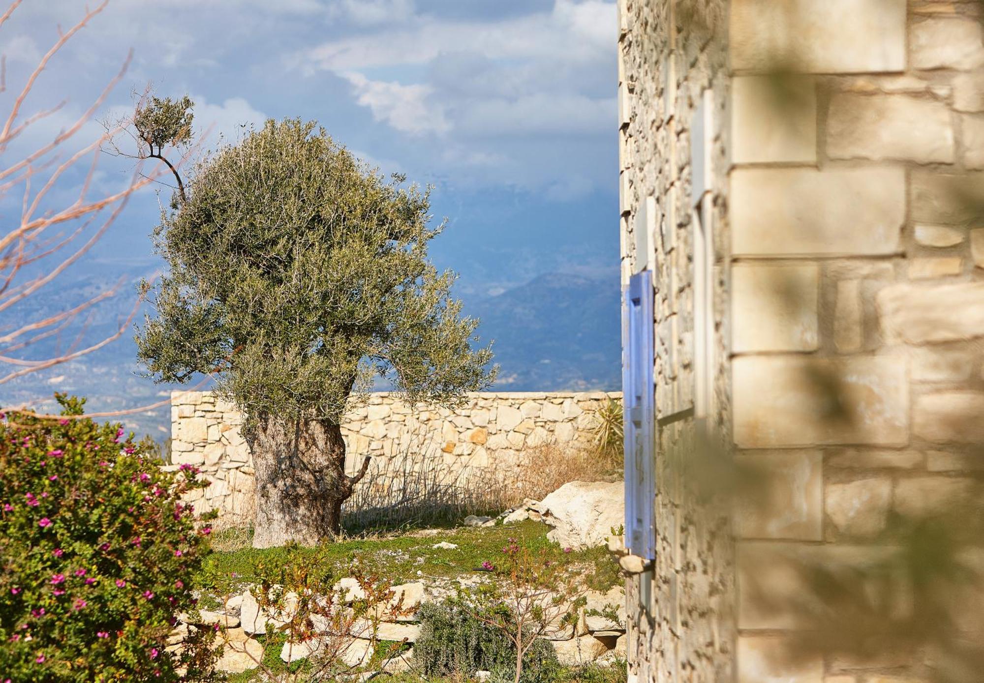 Orelia Cretan Deluxe Apartments Kamilári Exterior foto